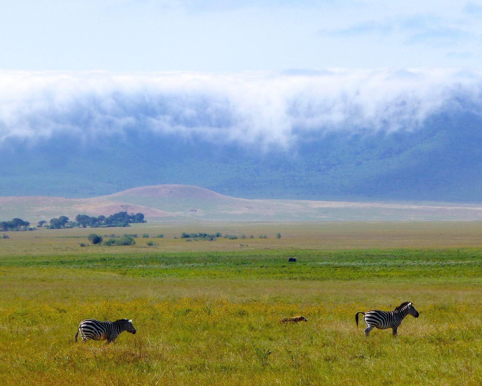 africa-3965536_1920(1)