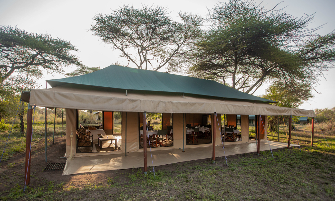 shuhudia serengeti camp