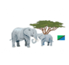 Inland Safari Adventures