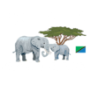 Inland Safari Adventures