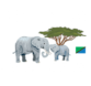 Inland Safari Adventures